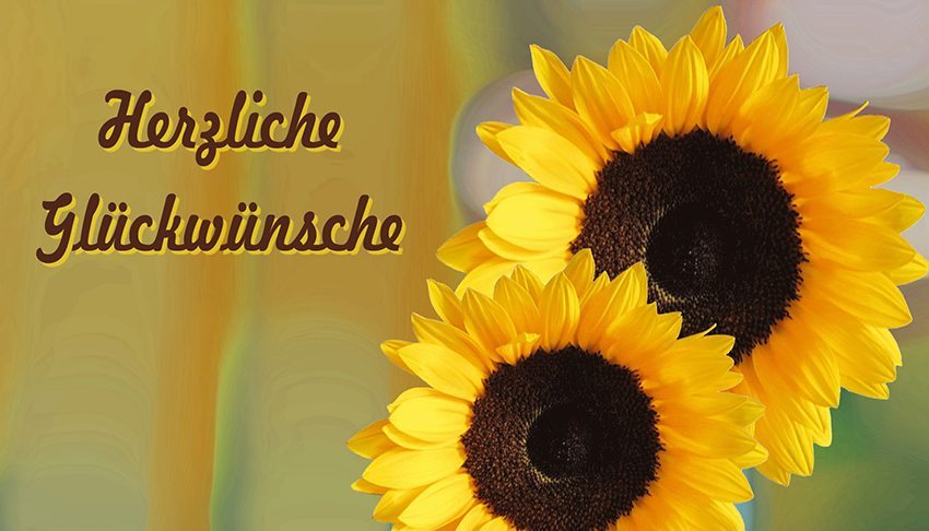 Glueckwunschkarte-Wilhelmine-Wulff_pixelio.de