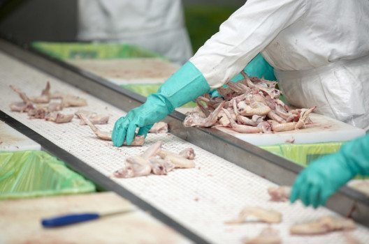Auf dem europäischen Fleischmarkt könnte TTIP gravierende Veränderungen nach sich ziehen. (Bild: Picsfive – shutterstock.com)