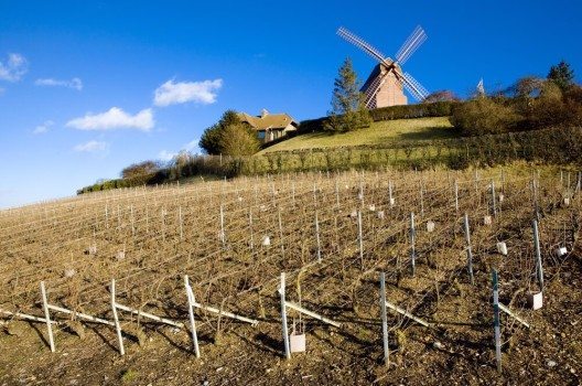 Mit den Weinbergen des Burgund und der Champagne gehören dazu auch zwei französische Weinregionen. (Bild: © PHB.cz (Richard Semik) - shutterstock.com)